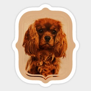 Cavalier King Charles Spaniel Sticker